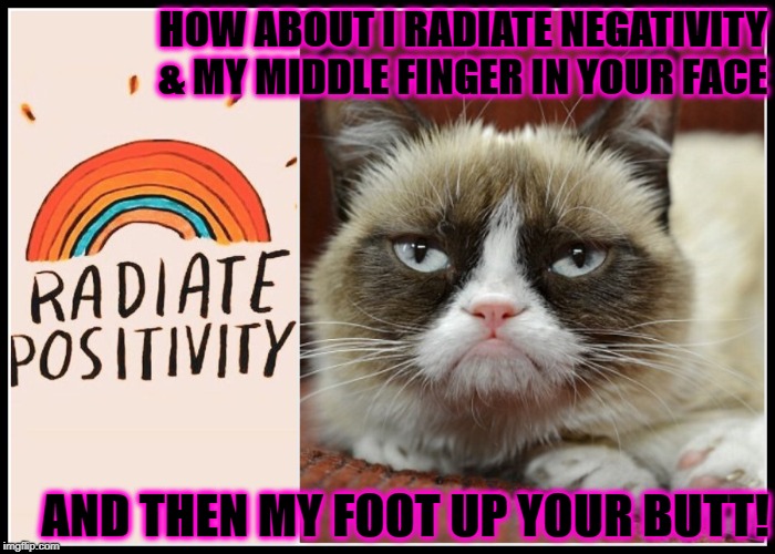 GRUMPY VS POSITIVITY | HOW ABOUT I RADIATE NEGATIVITY & MY MIDDLE FINGER IN YOUR FACE; AND THEN MY FOOT UP YOUR BUTT! | image tagged in grumpy vs positivity | made w/ Imgflip meme maker