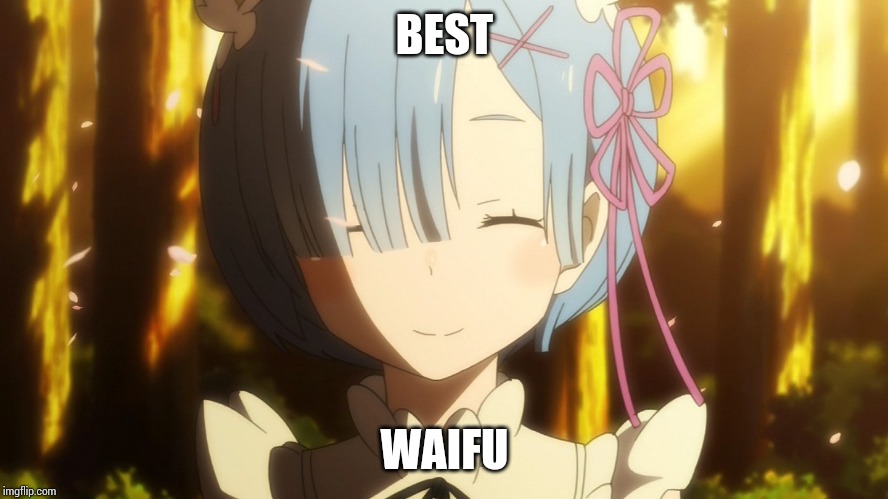 What Rem is REALLY thinking | BEST WAIFU | image tagged in what rem is really thinking | made w/ Imgflip meme maker
