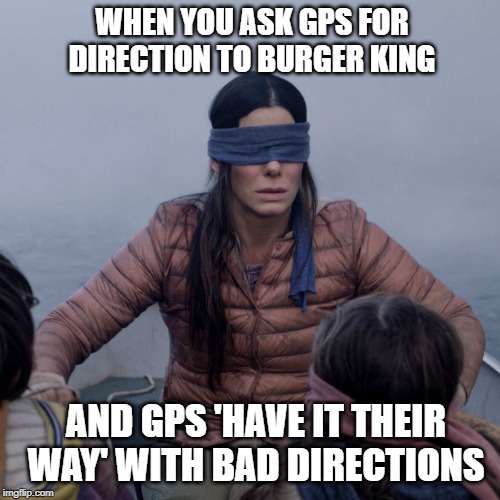 Bird Box Meme | WHEN YOU ASK GPS FOR DIRECTION TO BURGER KING; AND GPS 'HAVE IT THEIR WAY' WITH BAD DIRECTIONS | image tagged in memes,bird box | made w/ Imgflip meme maker