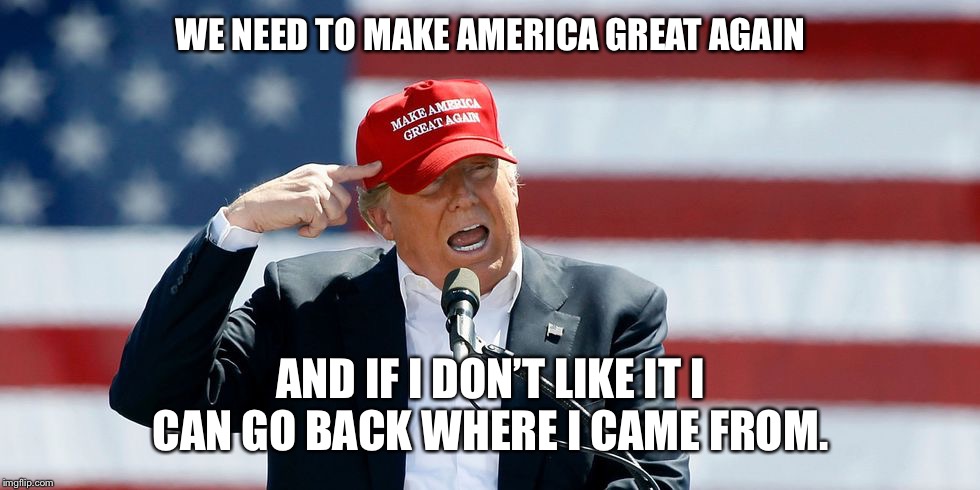 Trump MAGA Hat | WE NEED TO MAKE AMERICA GREAT AGAIN; AND IF I DON’T LIKE IT I CAN GO BACK WHERE I CAME FROM. | image tagged in trump maga hat | made w/ Imgflip meme maker