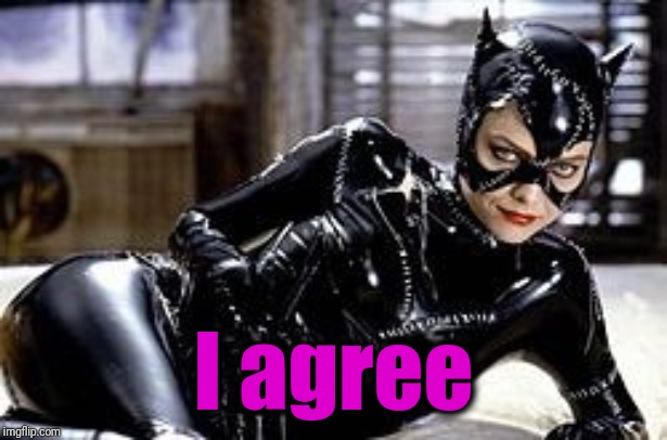 Catwoman | I agree | image tagged in catwoman | made w/ Imgflip meme maker