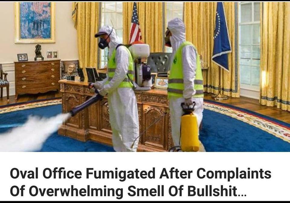 High Quality stank Blank Meme Template