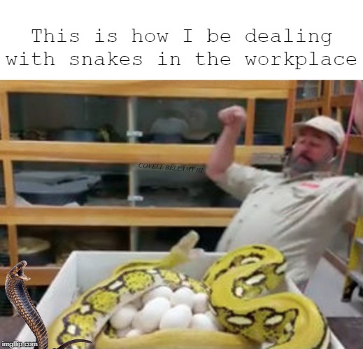 This is how I be dealing with snakes in the workplace; COVELL BELLAMY III | image tagged in dealing with snakes at work | made w/ Imgflip meme maker