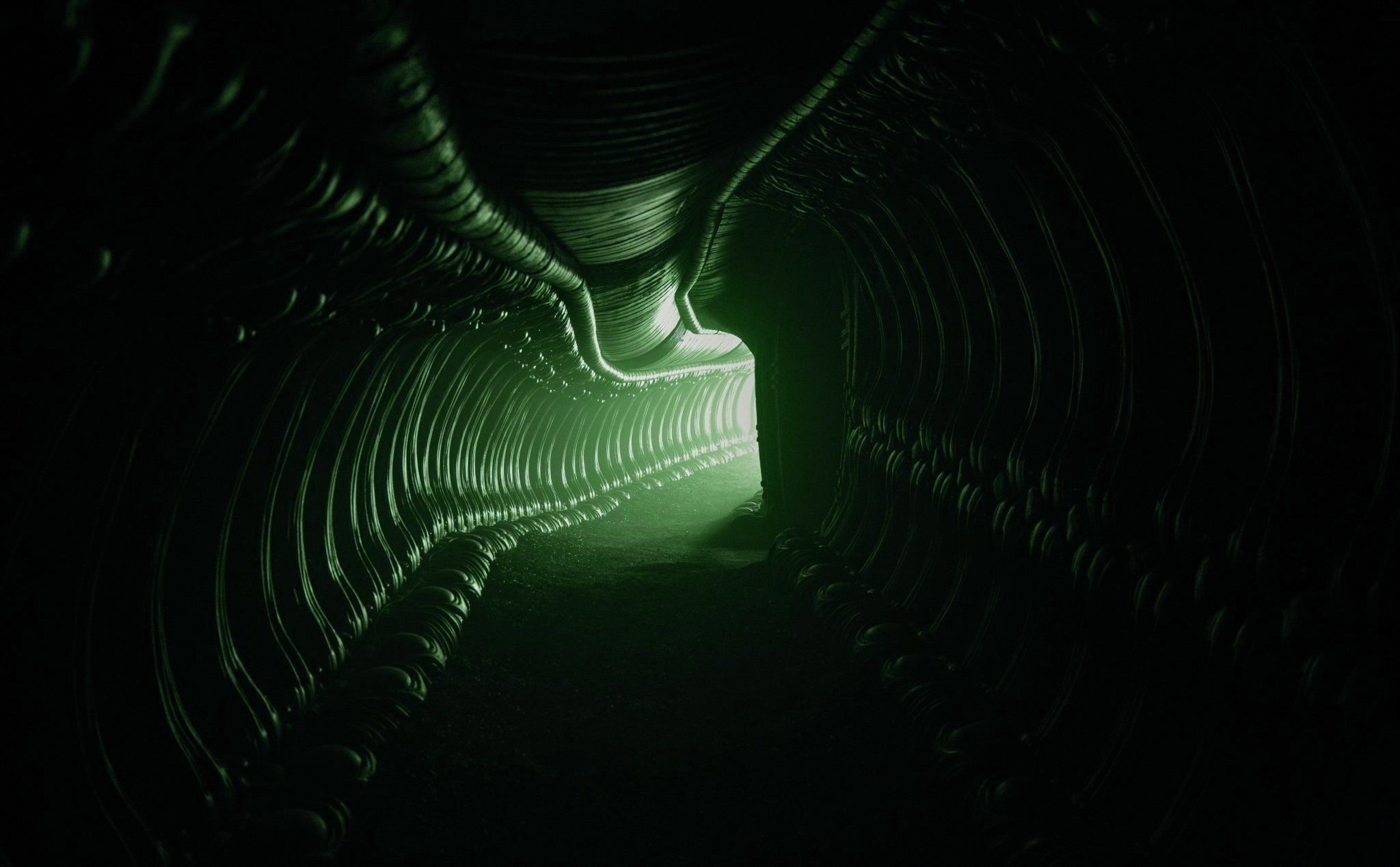 Alien hallway Blank Meme Template