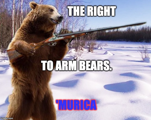 THE RIGHT; TO ARM BEARS. 'MURICA | image tagged in bear,guns | made w/ Imgflip meme maker
