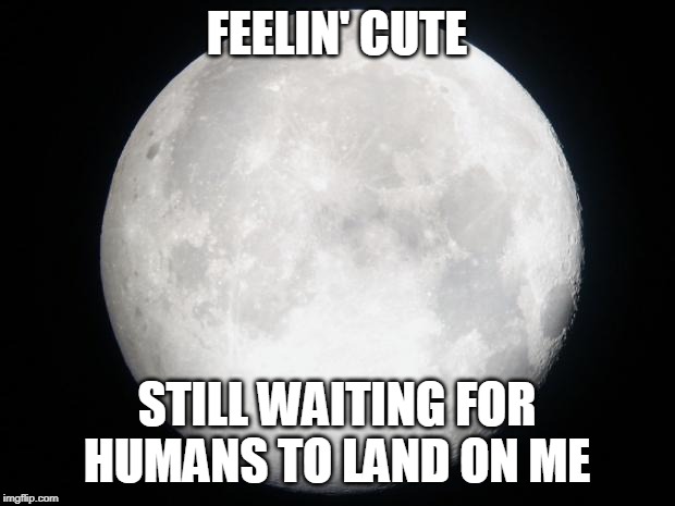 Moon cute needs humans | FEELIN' CUTE; STILL WAITING FOR HUMANS TO LAND ON ME | image tagged in full moon,hoax,landing,apollo | made w/ Imgflip meme maker