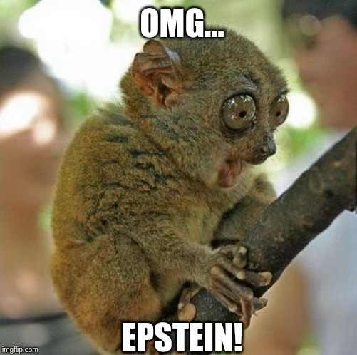 Oh my God!! | OMG... EPSTEIN! | image tagged in oh my god | made w/ Imgflip meme maker