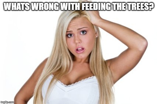 Dumb Blonde | WHATS WRONG WITH FEEDING THE TREES? | image tagged in dumb blonde | made w/ Imgflip meme maker