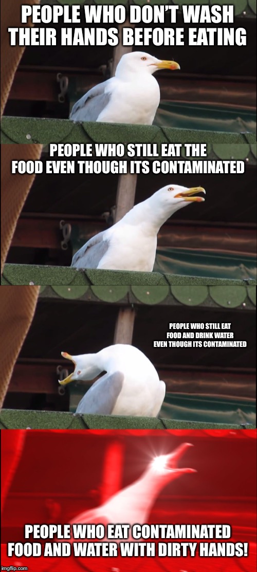 Inhaling Seagull Meme | PEOPLE WHO DON’T WASH THEIR HANDS BEFORE EATING; PEOPLE WHO STILL EAT THE FOOD EVEN THOUGH ITS CONTAMINATED; PEOPLE WHO STILL EAT FOOD AND DRINK WATER EVEN THOUGH ITS CONTAMINATED; PEOPLE WHO EAT CONTAMINATED FOOD AND WATER WITH DIRTY HANDS! | image tagged in memes,inhaling seagull | made w/ Imgflip meme maker