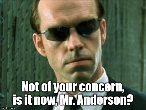 Agent Smith Matrix | Not of your concern, is it now, Mr. Anderson? | image tagged in agent smith matrix | made w/ Imgflip meme maker