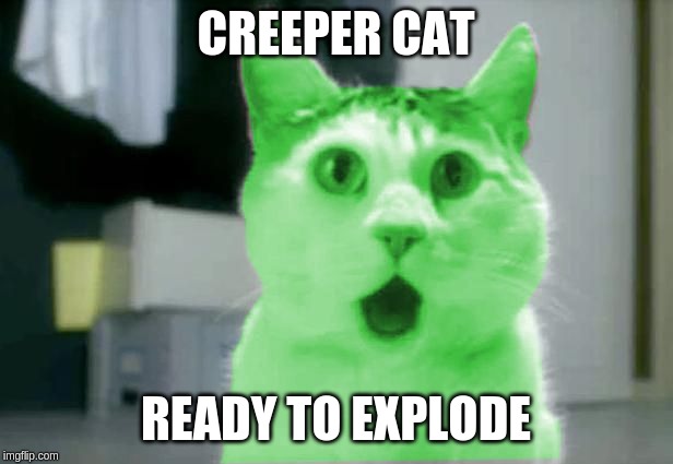 OMG RayCat | CREEPER CAT; READY TO EXPLODE | image tagged in omg raycat | made w/ Imgflip meme maker