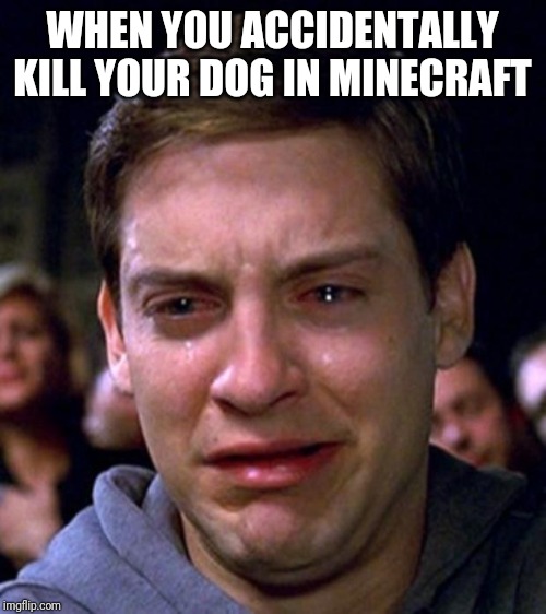 crying peter parker | WHEN YOU ACCIDENTALLY KILL YOUR DOG IN MINECRAFT | image tagged in crying peter parker | made w/ Imgflip meme maker