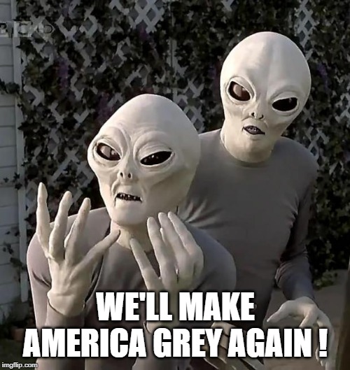 Aliens | WE'LL MAKE AMERICA GREY AGAIN ! | image tagged in aliens | made w/ Imgflip meme maker