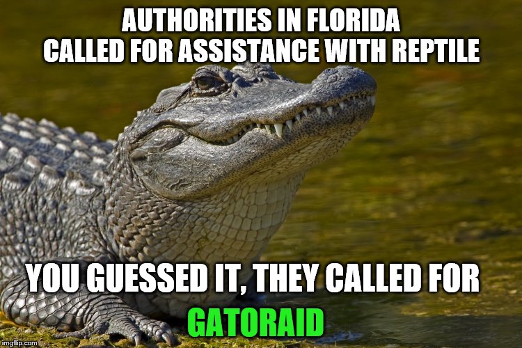 It's obvious who you'd call |  AUTHORITIES IN FLORIDA CALLED FOR ASSISTANCE WITH REPTILE; YOU GUESSED IT, THEY CALLED FOR; GATORAID | image tagged in laughing alligator,alligator,alligators,gatorade,florida | made w/ Imgflip meme maker