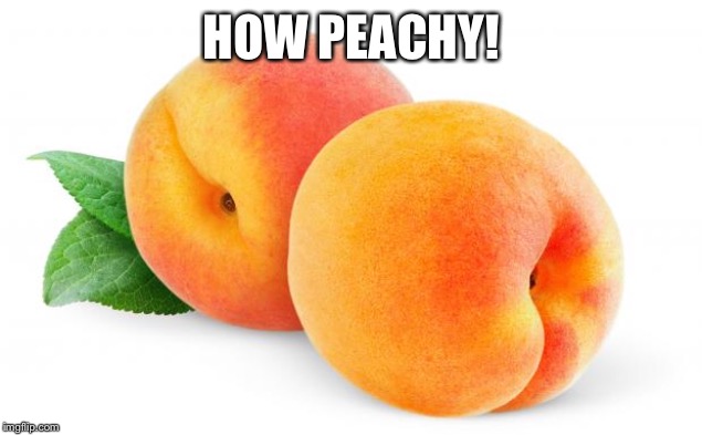 Peaches | HOW PEACHY! | image tagged in peaches | made w/ Imgflip meme maker