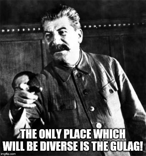 Stalin | THE ONLY PLACE WHICH WILL BE DIVERSE IS THE GULAG! | image tagged in stalin | made w/ Imgflip meme maker
