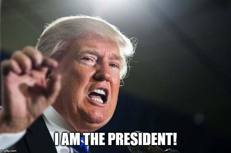 donald trump | I AM THE PRESIDENT! | image tagged in donald trump | made w/ Imgflip meme maker