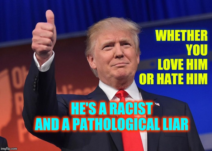 That's Just Who He Is | WHETHER YOU LOVE HIM OR HATE HIM; HE'S A RACIST AND A PATHOLOGICAL LIAR | image tagged in trump unfit unqualified dangerous,memes,obstruction of justice,liar in chief,lock him up,racist trump | made w/ Imgflip meme maker