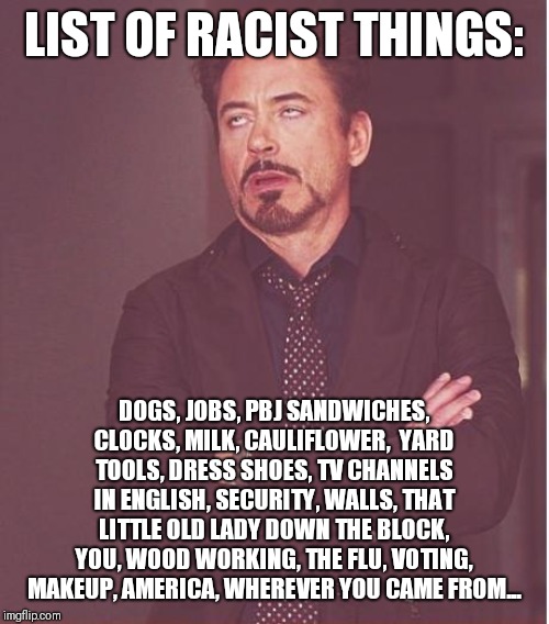Face You Make Robert Downey Jr Meme | LIST OF RACIST THINGS:; DOGS, JOBS, PBJ SANDWICHES, CLOCKS, MILK, CAULIFLOWER,  YARD TOOLS, DRESS SHOES, TV CHANNELS IN ENGLISH, SECURITY, WALLS, THAT LITTLE OLD LADY DOWN THE BLOCK, YOU, WOOD WORKING, THE FLU, VOTING, MAKEUP, AMERICA, WHEREVER YOU CAME FROM... | image tagged in memes,face you make robert downey jr | made w/ Imgflip meme maker