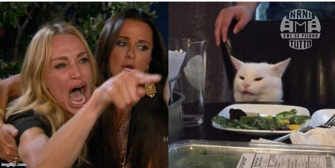 High Quality white cat table Blank Meme Template