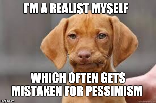 Disappointed Dog | I'M A REALIST MYSELF WHICH OFTEN GETS MISTAKEN FOR PESSIMISM | image tagged in disappointed dog | made w/ Imgflip meme maker