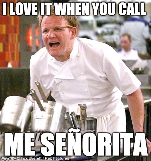 What if Gordan Ramsay Sang... | I LOVE IT WHEN YOU CALL; ME SEÑORITA | image tagged in memes,chef gordon ramsay,mesenorita,senorita,camilacabello | made w/ Imgflip meme maker