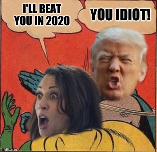 Trump Slap | YOU IDIOT! I'LL BEAT YOU IN 2020 | image tagged in trump slap | made w/ Imgflip meme maker