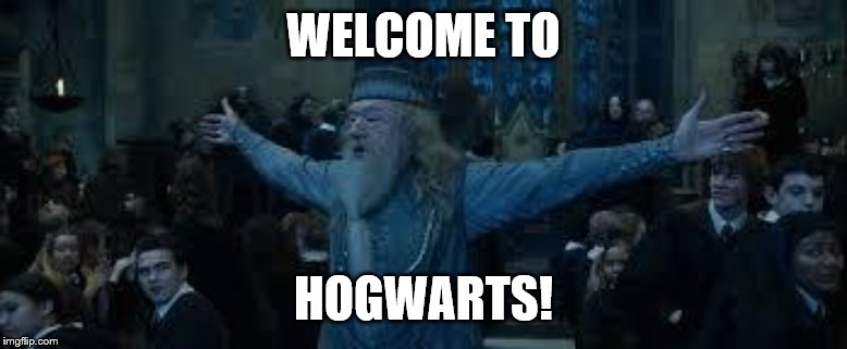 Harry Potter | WELCOME TO HOGWARTS! | image tagged in harry potter | made w/ Imgflip meme maker