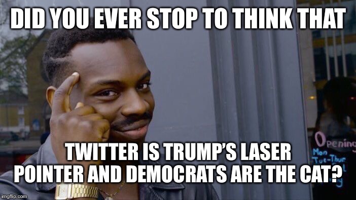 Makes sense | DID YOU EVER STOP TO THINK THAT; TWITTER IS TRUMP’S LASER POINTER AND DEMOCRATS ARE THE CAT? | image tagged in memes,roll safe think about it,trump,democrats | made w/ Imgflip meme maker