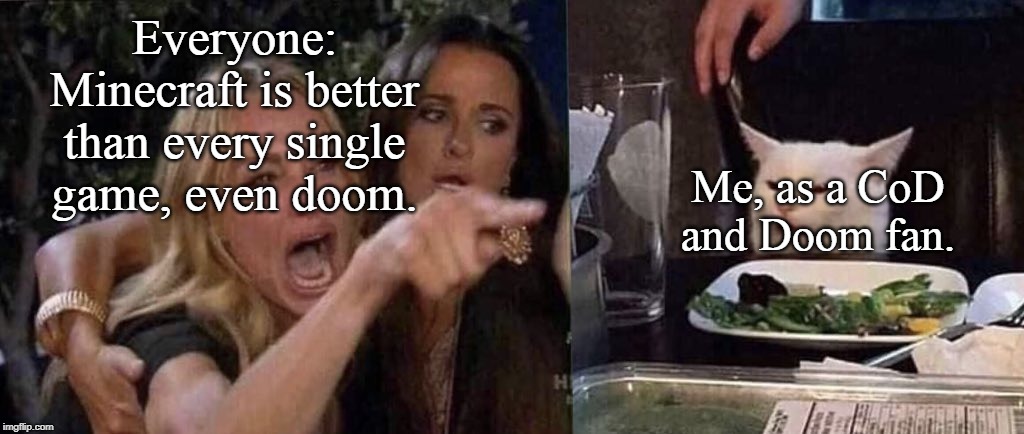 woman yelling at cat | Everyone: Minecraft is better than every single game, even doom. Me, as a CoD and Doom fan. | image tagged in woman yelling at cat | made w/ Imgflip meme maker