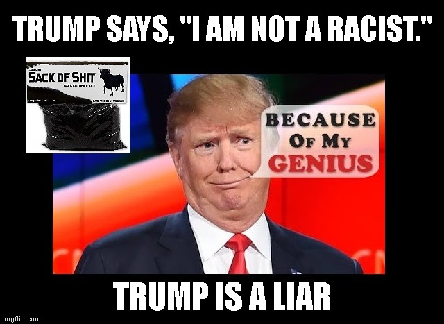 Another Sack of Shit Award for Trump | TRUMP SAYS, "I AM NOT A RACIST."; TRUMP IS A LIAR | image tagged in sack of shit,stable genius,racist,liar,impeach trump | made w/ Imgflip meme maker