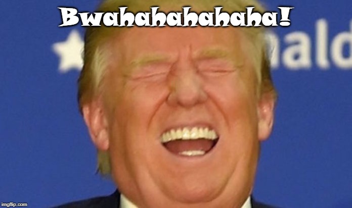 trump laughing | Bwahahahahaha! | image tagged in trump laughing | made w/ Imgflip meme maker