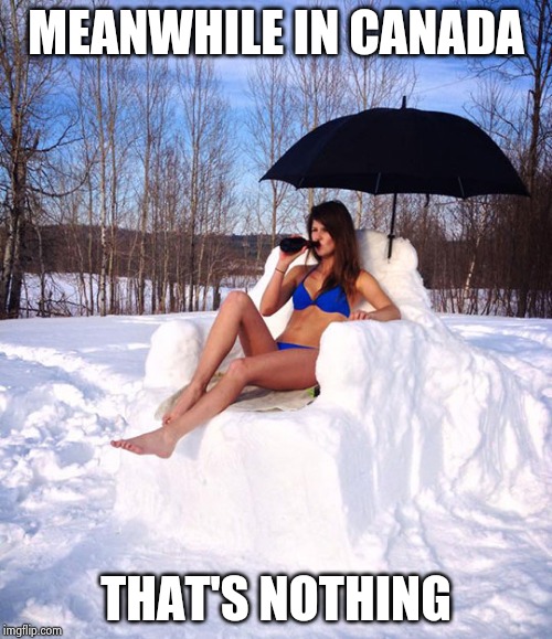 Sun bathing | MEANWHILE IN CANADA THAT'S NOTHING | image tagged in sun bathing | made w/ Imgflip meme maker
