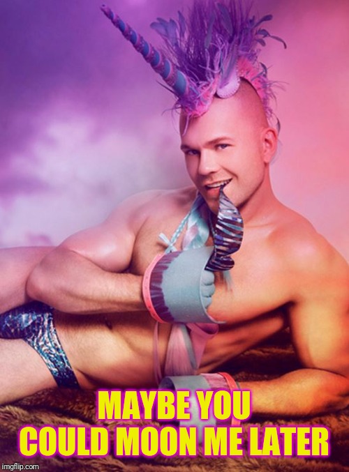 Sexy Gay Unicorn | MAYBE YOU COULD MOON ME LATER | image tagged in sexy gay unicorn | made w/ Imgflip meme maker
