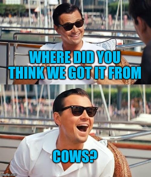 Leonardo Dicaprio Wolf Of Wall Street Meme | WHERE DID YOU THINK WE GOT IT FROM COWS? | image tagged in memes,leonardo dicaprio wolf of wall street | made w/ Imgflip meme maker