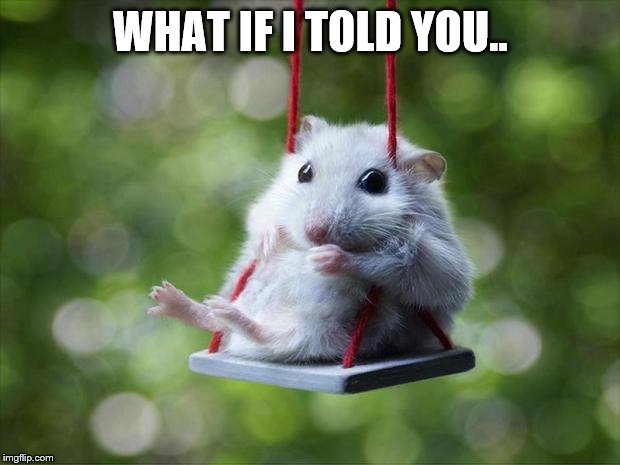 Mouse swing | WHAT IF I TOLD YOU.. | image tagged in mouse swing | made w/ Imgflip meme maker