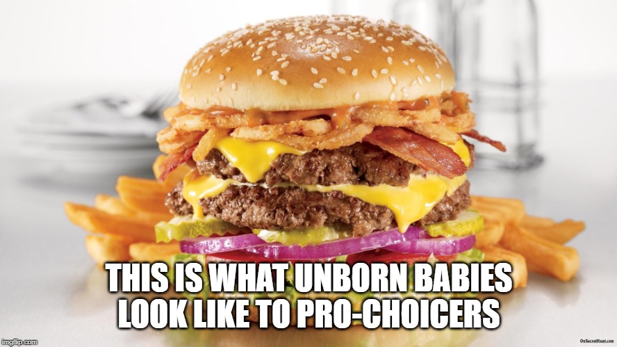 Burger & Fries | THIS IS WHAT UNBORN BABIES LOOK LIKE TO PRO-CHOICERS | image tagged in burger  fries | made w/ Imgflip meme maker