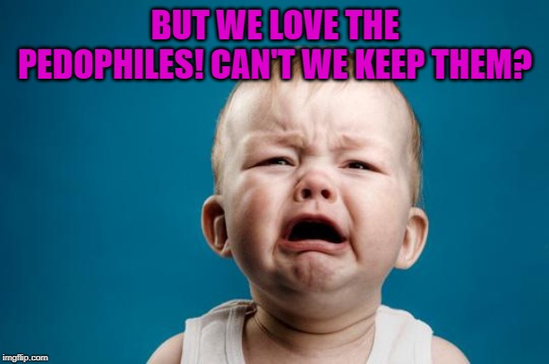 BABY CRYING | BUT WE LOVE THE PEDOPHILES! CAN'T WE KEEP THEM? | image tagged in baby crying | made w/ Imgflip meme maker