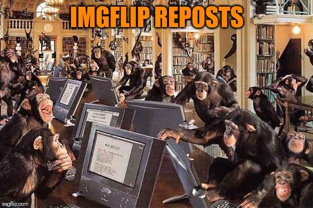 monkeys on computers | IMGFLIP REPOSTS | image tagged in monkeys on computers | made w/ Imgflip meme maker