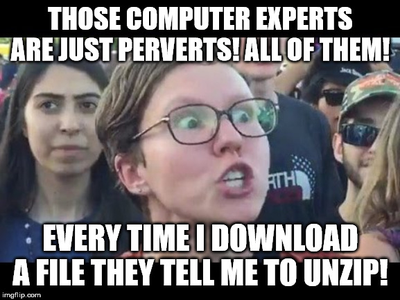 Sexual harassment or stupidity? Your choice! | THOSE COMPUTER EXPERTS ARE JUST PERVERTS! ALL OF THEM! EVERY TIME I DOWNLOAD A FILE THEY TELL ME TO UNZIP! | image tagged in angry sjw | made w/ Imgflip meme maker
