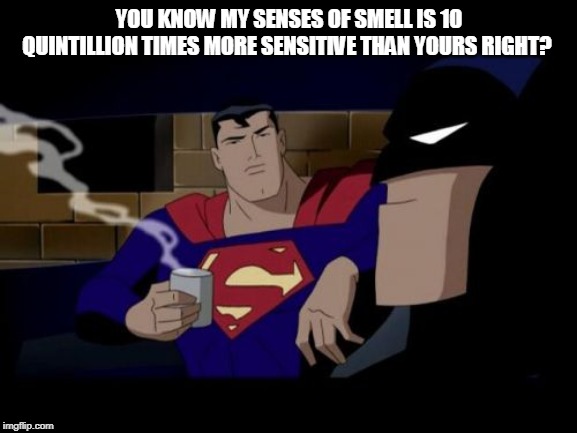 Batman And Superman Meme | YOU KNOW MY SENSES OF SMELL IS 10 QUINTILLION TIMES MORE SENSITIVE THAN YOURS RIGHT? | image tagged in memes,batman and superman | made w/ Imgflip meme maker
