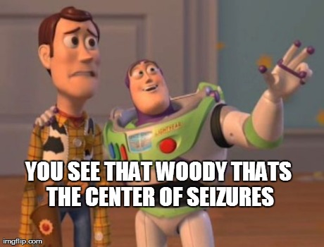 X, X Everywhere Meme | YOU SEE THAT WOODY THATS THE CENTER OF SEIZURES | image tagged in memes,x x everywhere | made w/ Imgflip meme maker