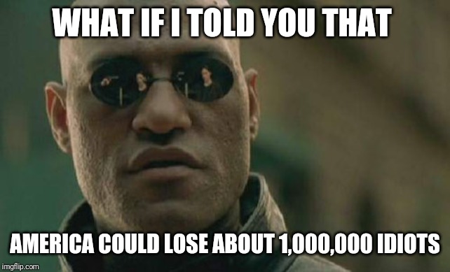 Matrix Morpheus | WHAT IF I TOLD YOU THAT; AMERICA COULD LOSE ABOUT 1,000,000 IDIOTS | image tagged in memes,matrix morpheus | made w/ Imgflip meme maker