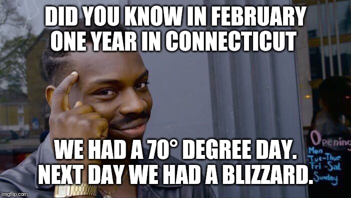 Roll Safe Think About It | DID YOU KNOW IN FEBRUARY ONE YEAR IN CONNECTICUT; WE HAD A 70° DEGREE DAY. NEXT DAY WE HAD A BLIZZARD. | image tagged in memes,roll safe think about it | made w/ Imgflip meme maker