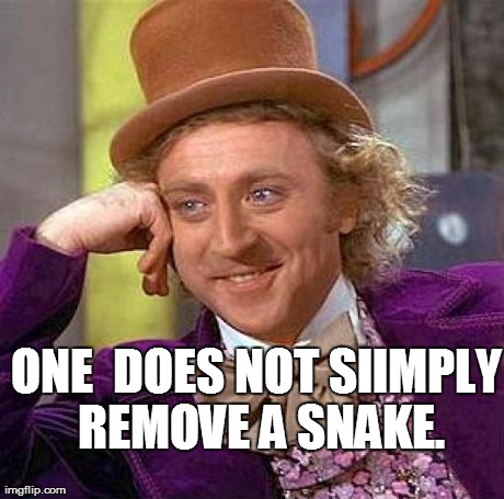Creepy Condescending Wonka Meme | ONE  DOES NOT SIIMPLY REMOVE A SNAKE. | image tagged in memes,creepy condescending wonka | made w/ Imgflip meme maker
