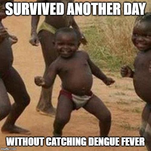 Alive Another Day | SURVIVED ANOTHER DAY; WITHOUT CATCHING DENGUE FEVER | image tagged in memes,third world success kid | made w/ Imgflip meme maker