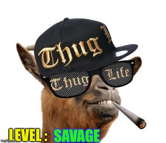 thug life camel | LEVEL : SAVAGE | image tagged in thug life camel | made w/ Imgflip meme maker