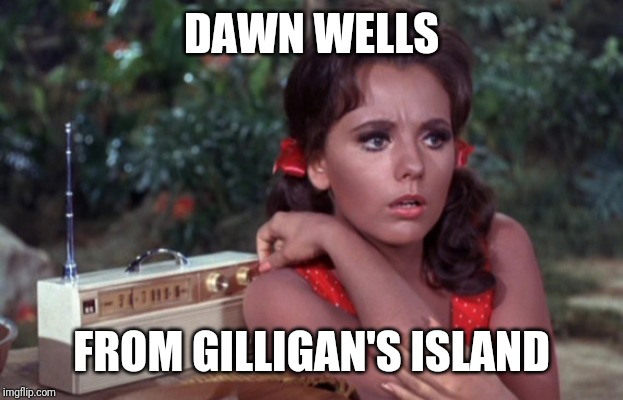 DAWN WELLS FROM GILLIGAN'S ISLAND | made w/ Imgflip meme maker