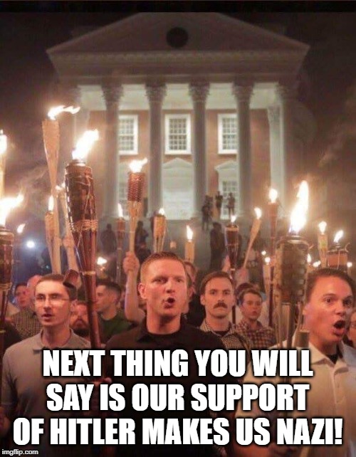 Tiki torch racist | NEXT THING YOU WILL SAY IS OUR SUPPORT OF HITLER MAKES US NAZI! | image tagged in tiki torch racist | made w/ Imgflip meme maker