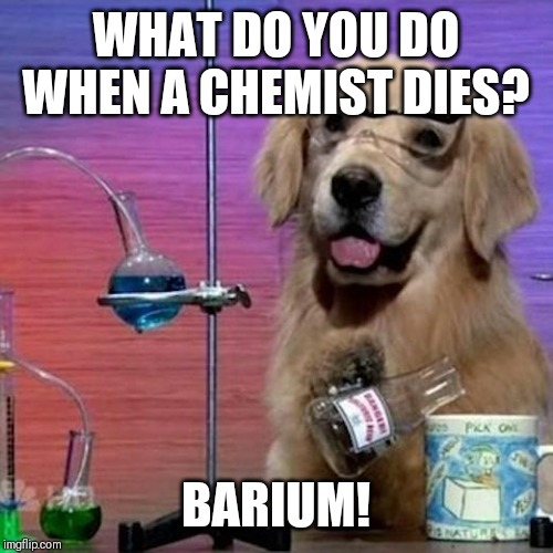 I Have No Idea What I Am Doing Dog |  WHAT DO YOU DO WHEN A CHEMIST DIES? BARIUM! | image tagged in memes,i have no idea what i am doing dog | made w/ Imgflip meme maker